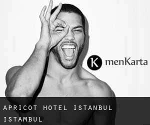 Apricot Hotel Istanbul (Istambul)
