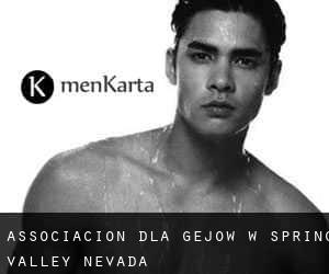 Associacion dla gejów w Spring Valley (Nevada)