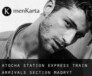 Atocha Station - Express Train Arrivals Section (Madryt)