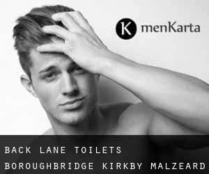 Back Lane Toilets Boroughbridge (Kirkby Malzeard)