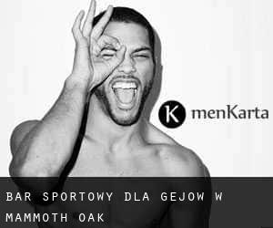 Bar sportowy dla gejów w Mammoth Oak