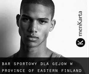 Bar sportowy dla gejów w Province of Eastern Finland