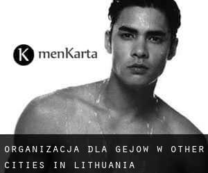 Organizacja dla gejów w Other Cities in Lithuania