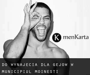 Do wynajęcia dla gejów w Municipiul Moineşti