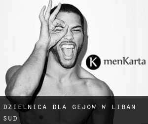 Dzielnica dla gejów w Liban-Sud