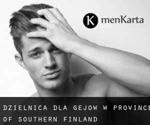 Dzielnica dla gejów w Province of Southern Finland
