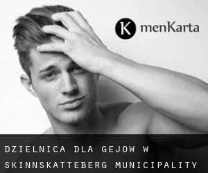 Dzielnica dla gejów w Skinnskatteberg Municipality