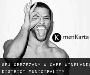 Gej Obrzezany w Cape Winelands District Municipality