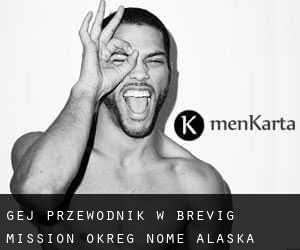 gej przewodnik w Brevig Mission (Okreg Nome, Alaska)