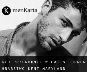 gej przewodnik w Catts Corner (Hrabstwo Kent, Maryland)