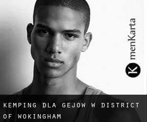 Kemping dla gejów w District of Wokingham