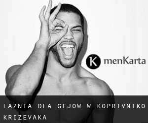 łaźnia dla gejów w Koprivničko-Križevačka