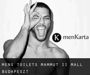 Mens toilets Mammut II Mall (Budapeszt)