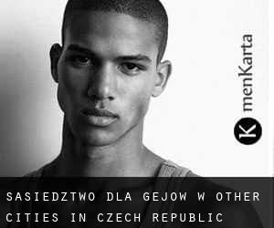 Sąsiedztwo dla gejów w Other Cities in Czech Republic