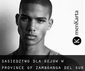 Sąsiedztwo dla gejów w Province of Zamboanga del Sur