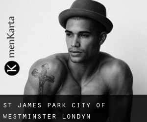 St James Park City of Westminster (Londyn)