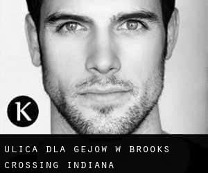 Ulica dla gejów w Brooks Crossing (Indiana)