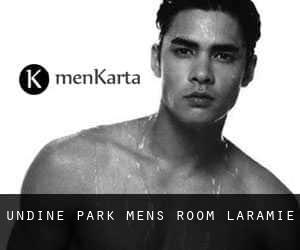 Undine Park Men's Room Laramie