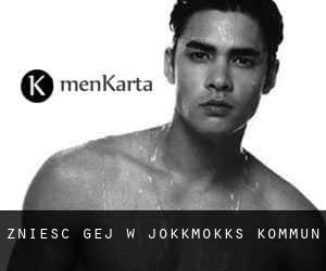 Znieść Gej w Jokkmokks Kommun